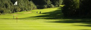 Golf Clubs